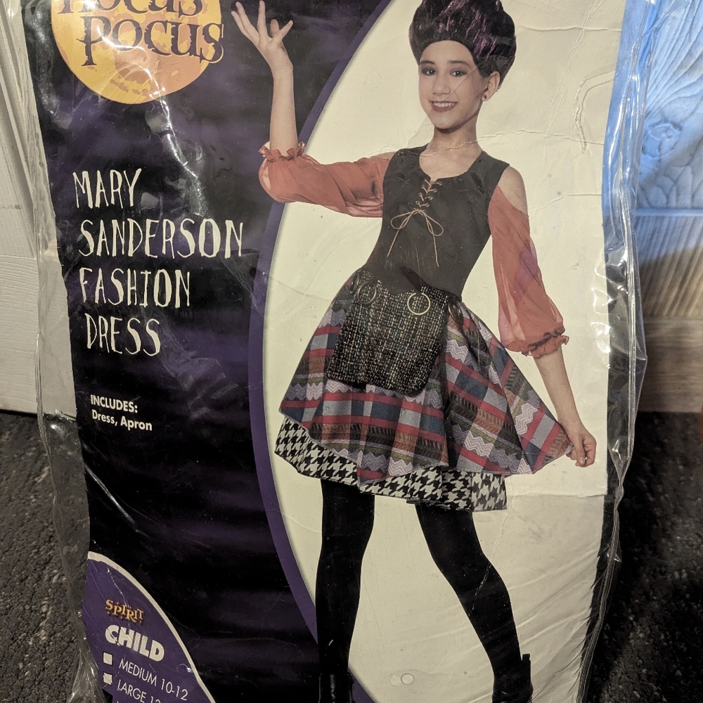 Hocus Pocus Costume Mary